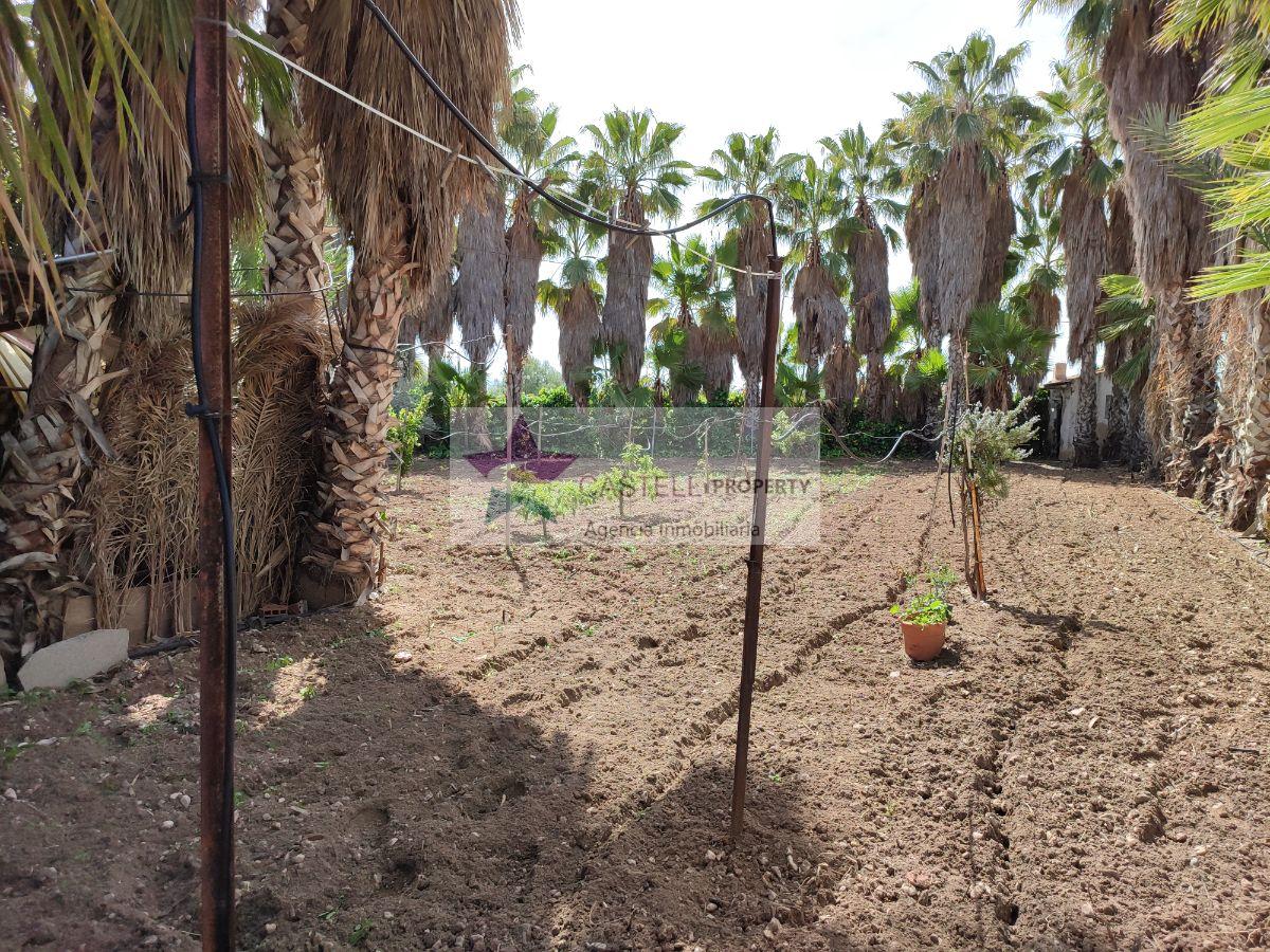 For sale of rural property in Novelda