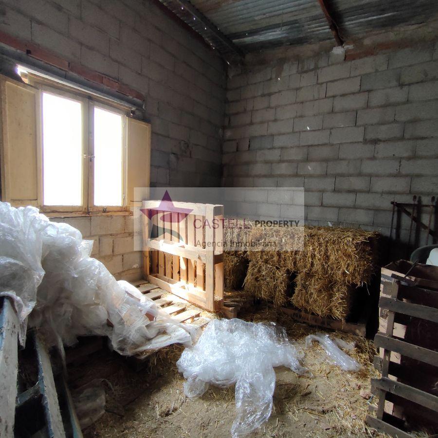 For sale of rural property in Novelda