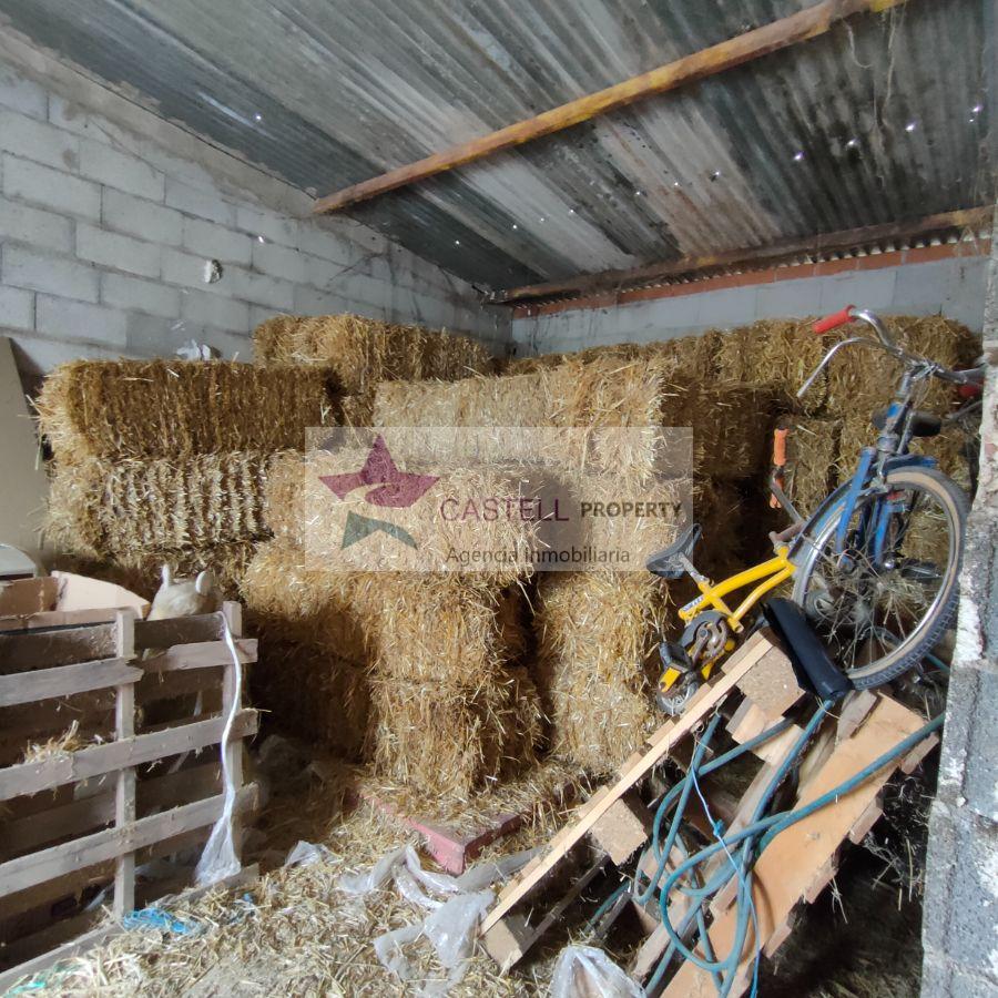 For sale of rural property in Novelda