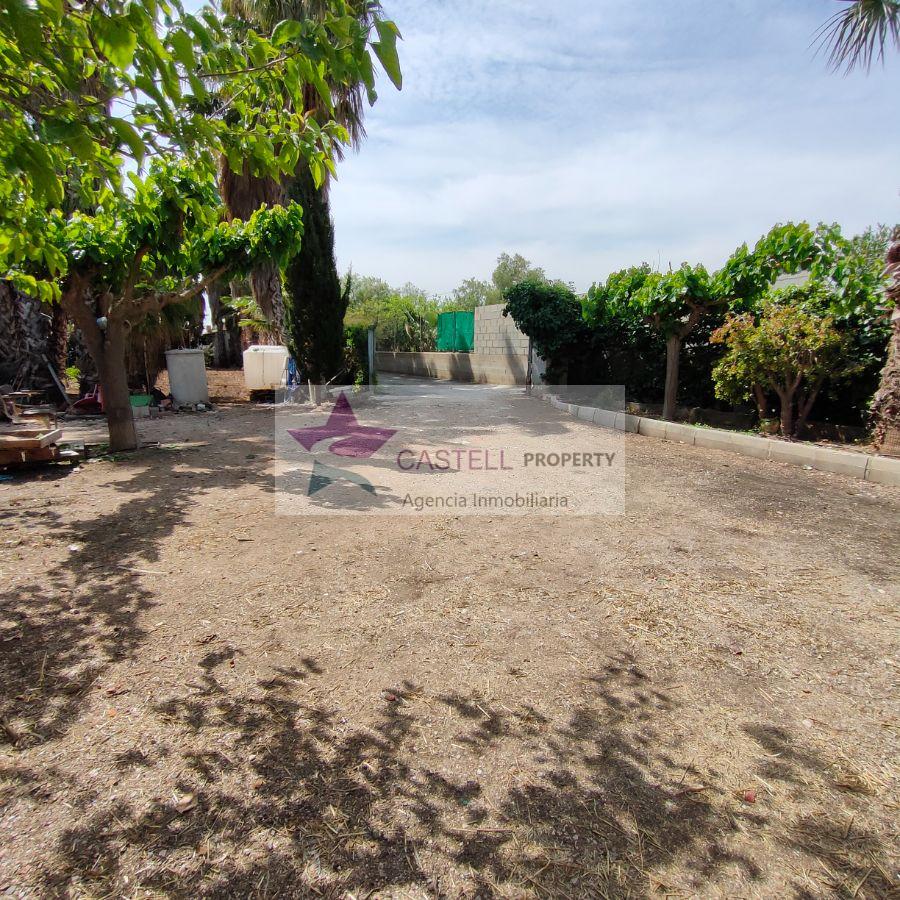 For sale of rural property in Novelda