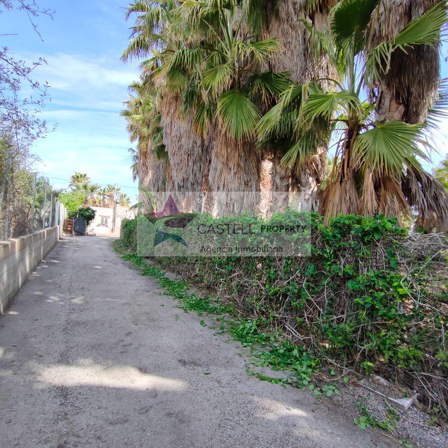 For sale of rural property in Novelda