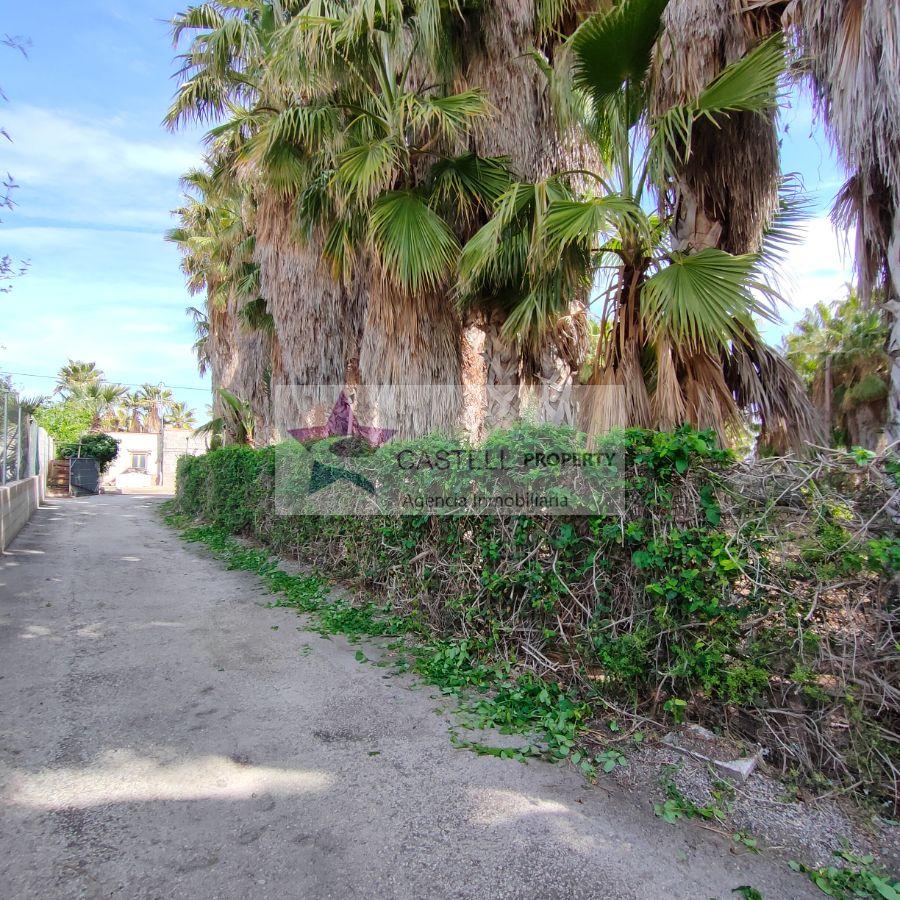 For sale of rural property in Novelda