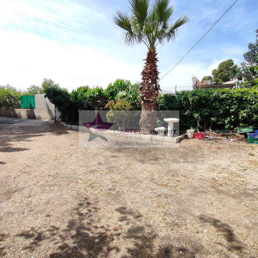 For sale of rural property in Novelda
