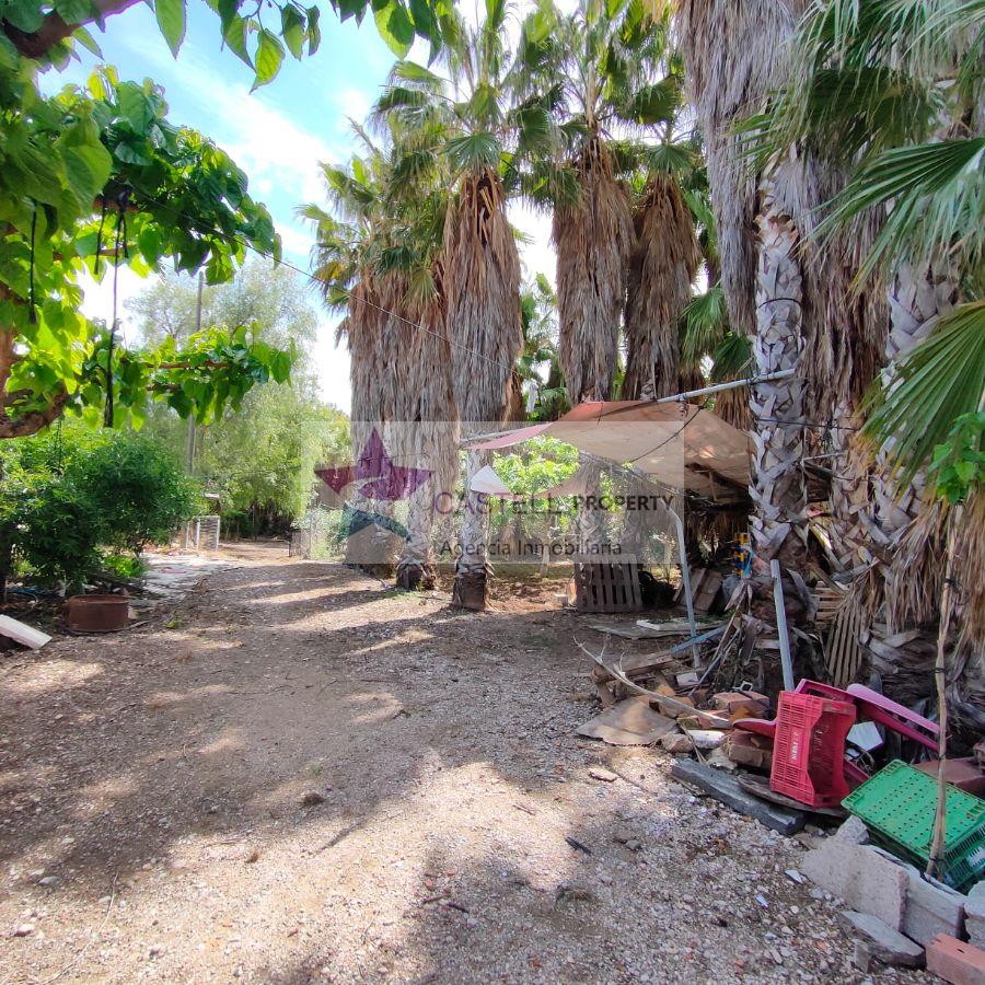 For sale of rural property in Novelda