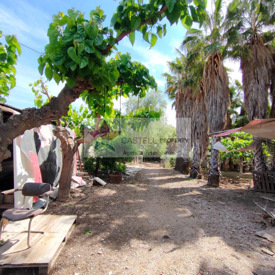For sale of rural property in Novelda