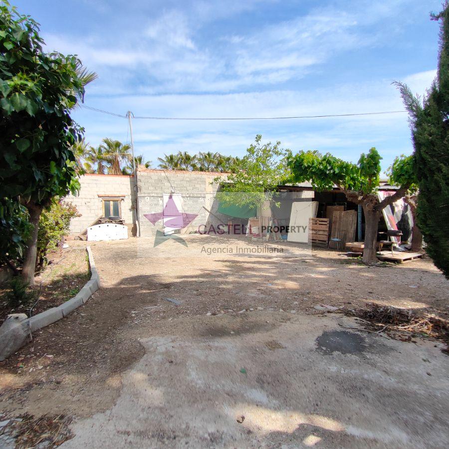 For sale of rural property in Novelda