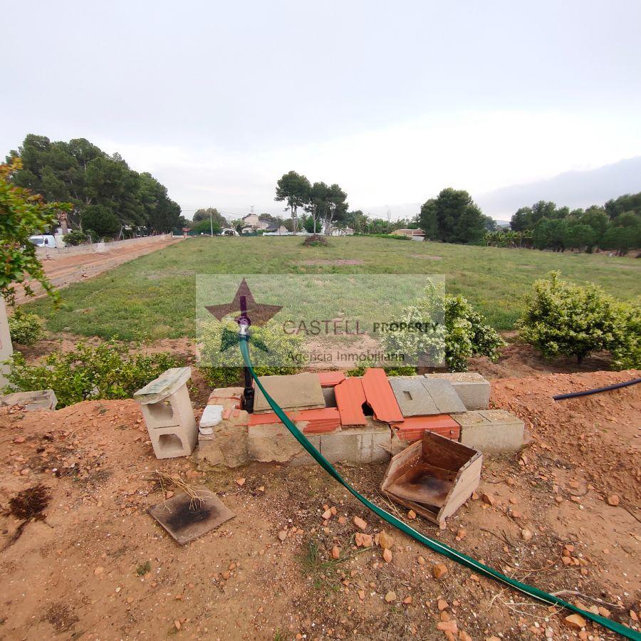 Venta de finca rústica en Novelda