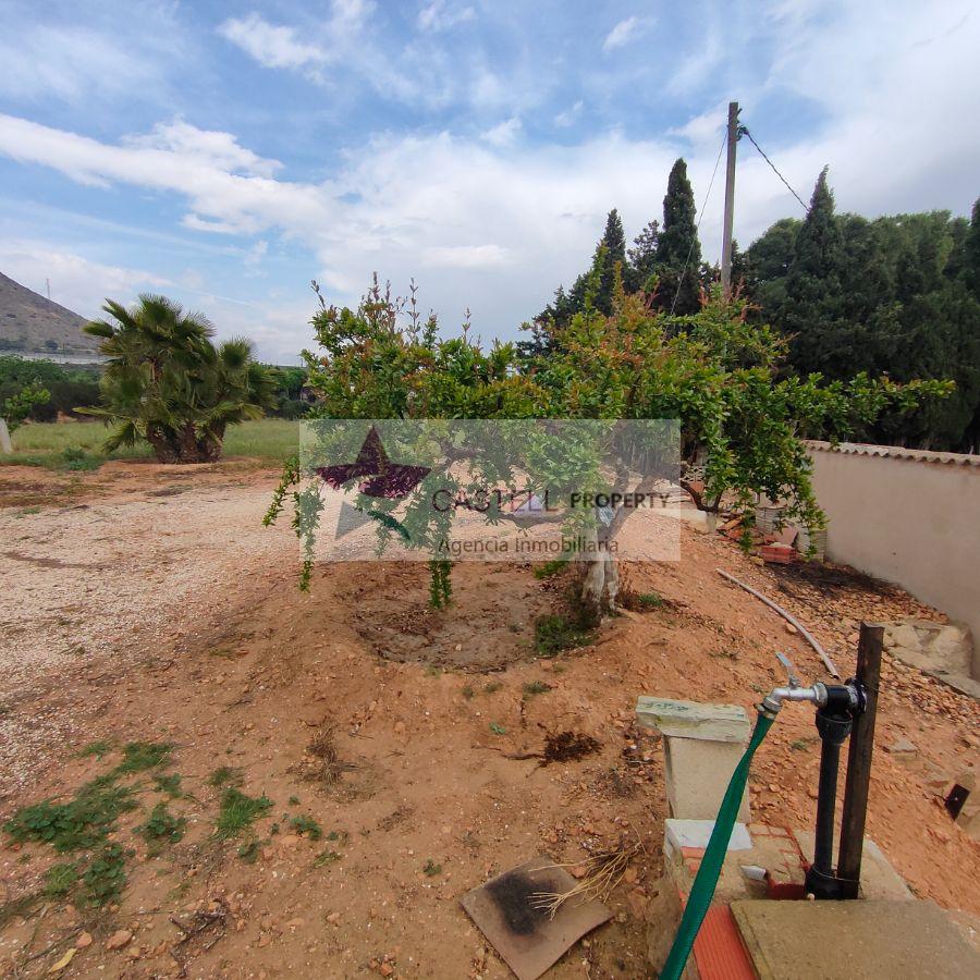 For sale of rural property in Novelda