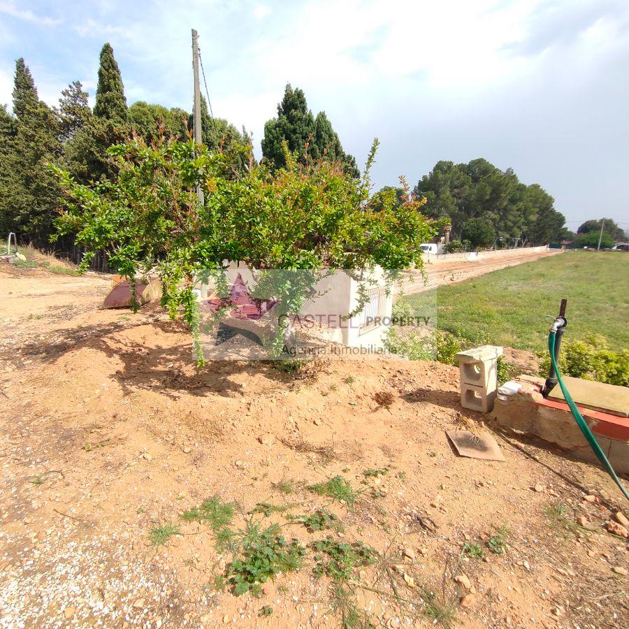 For sale of rural property in Novelda