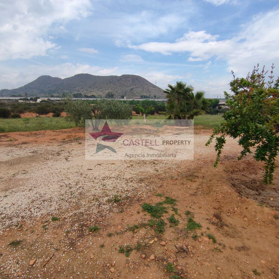 For sale of rural property in Novelda