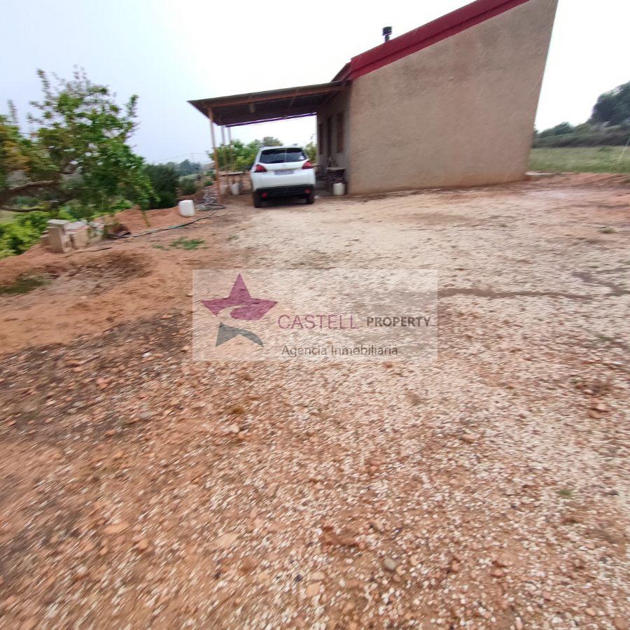 For sale of rural property in Novelda