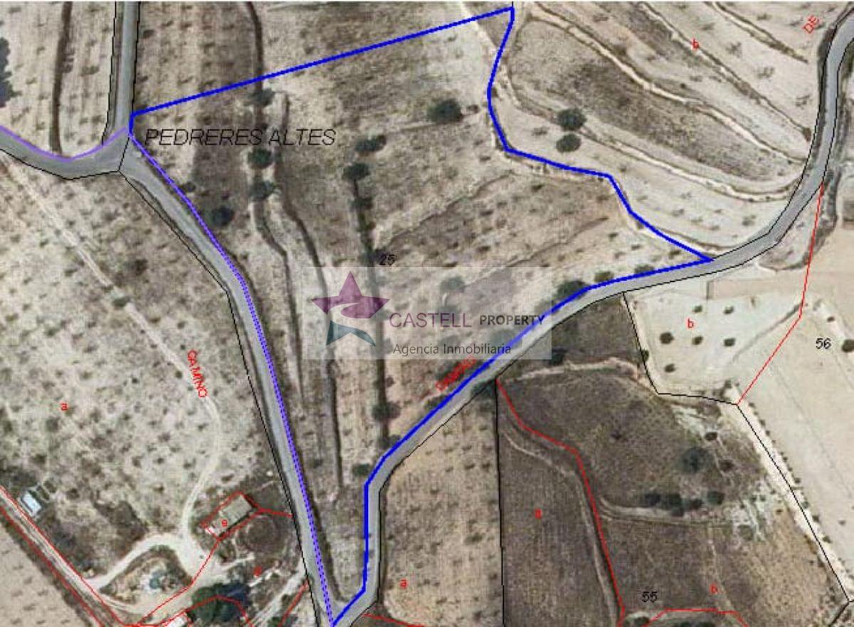 Venta de terreno en Petrer