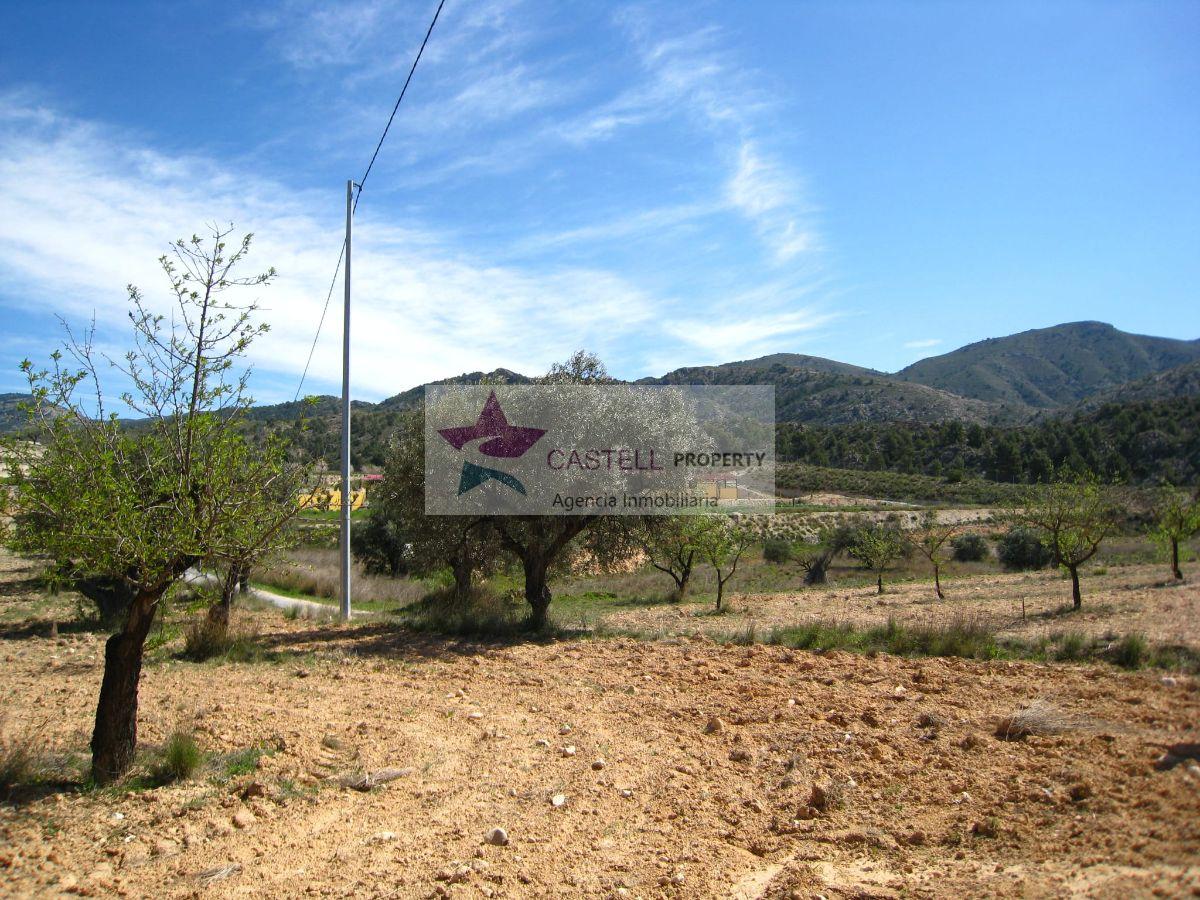 Venta de terreno en Petrer