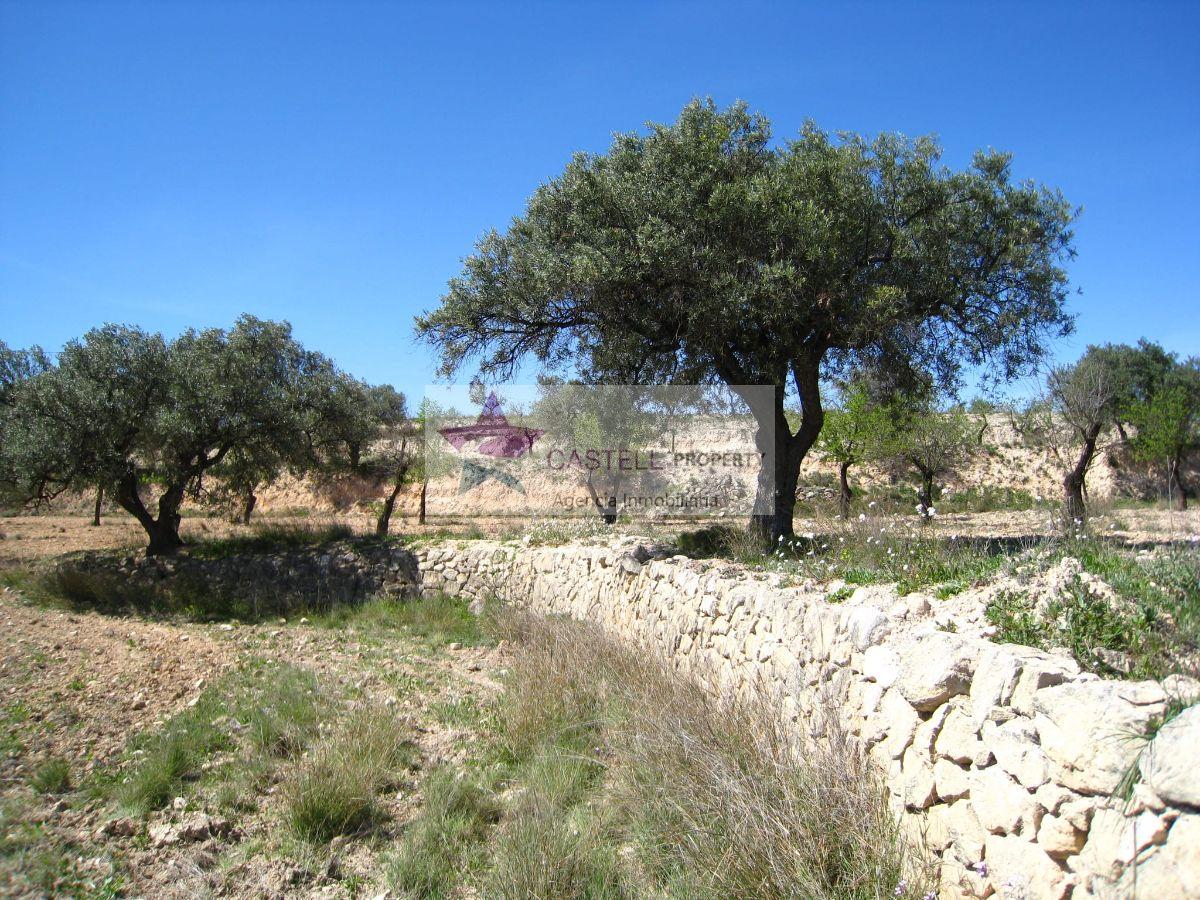 Venta de terreno en Petrer
