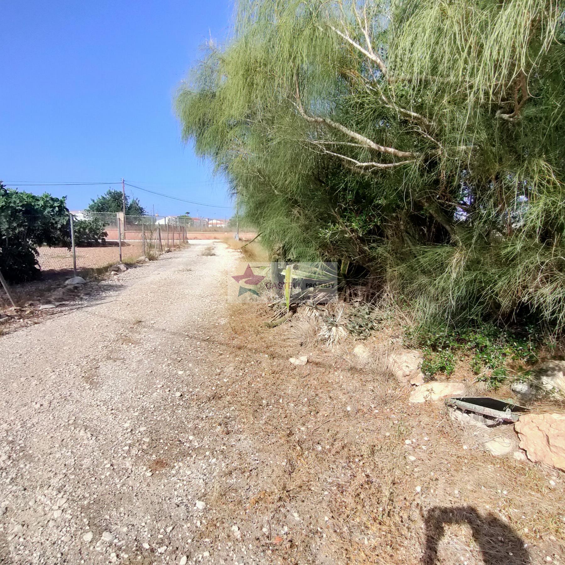 For sale of chalet in Elche-Elx