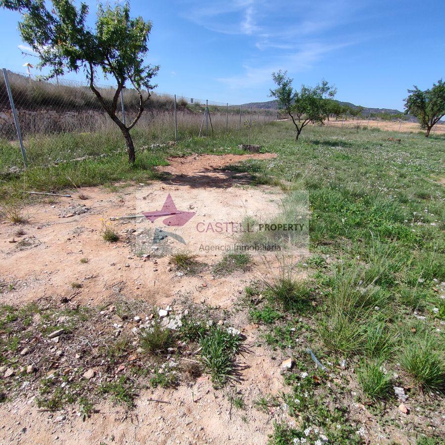 For sale of house in El Pinós