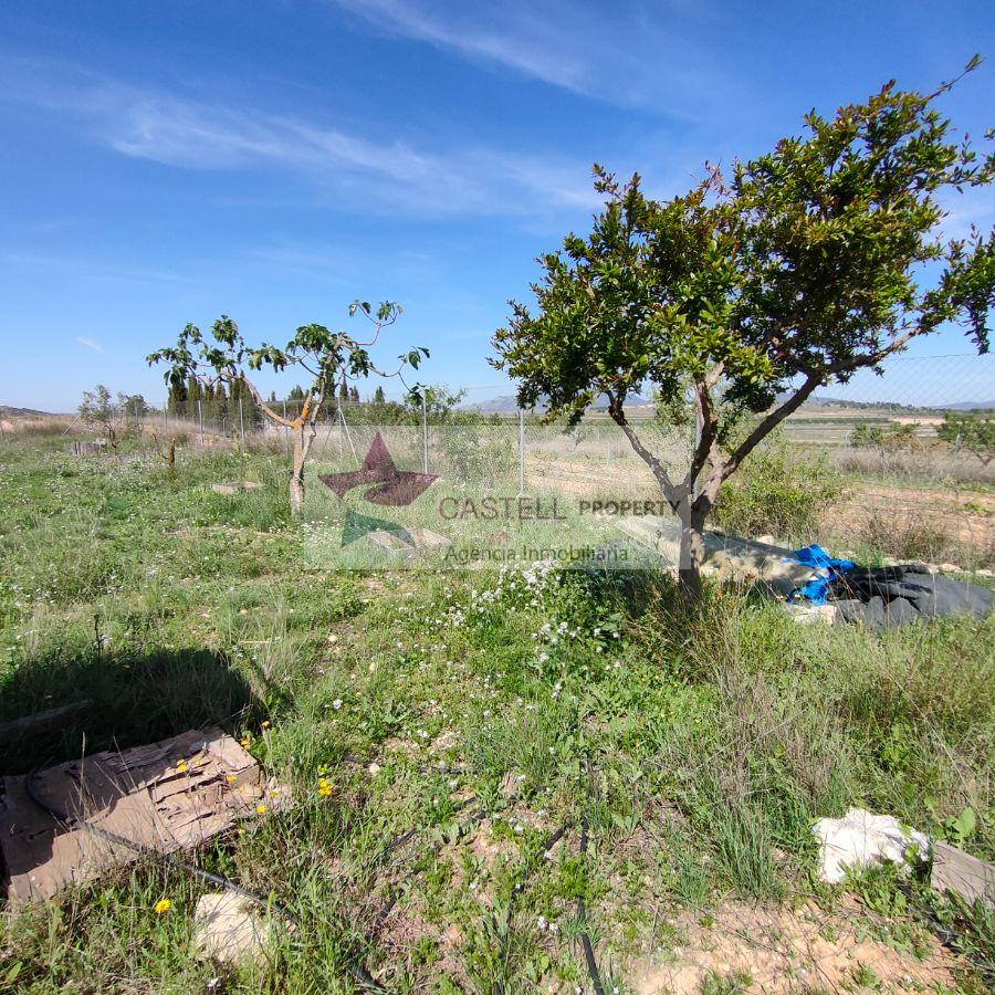 For sale of house in El Pinós