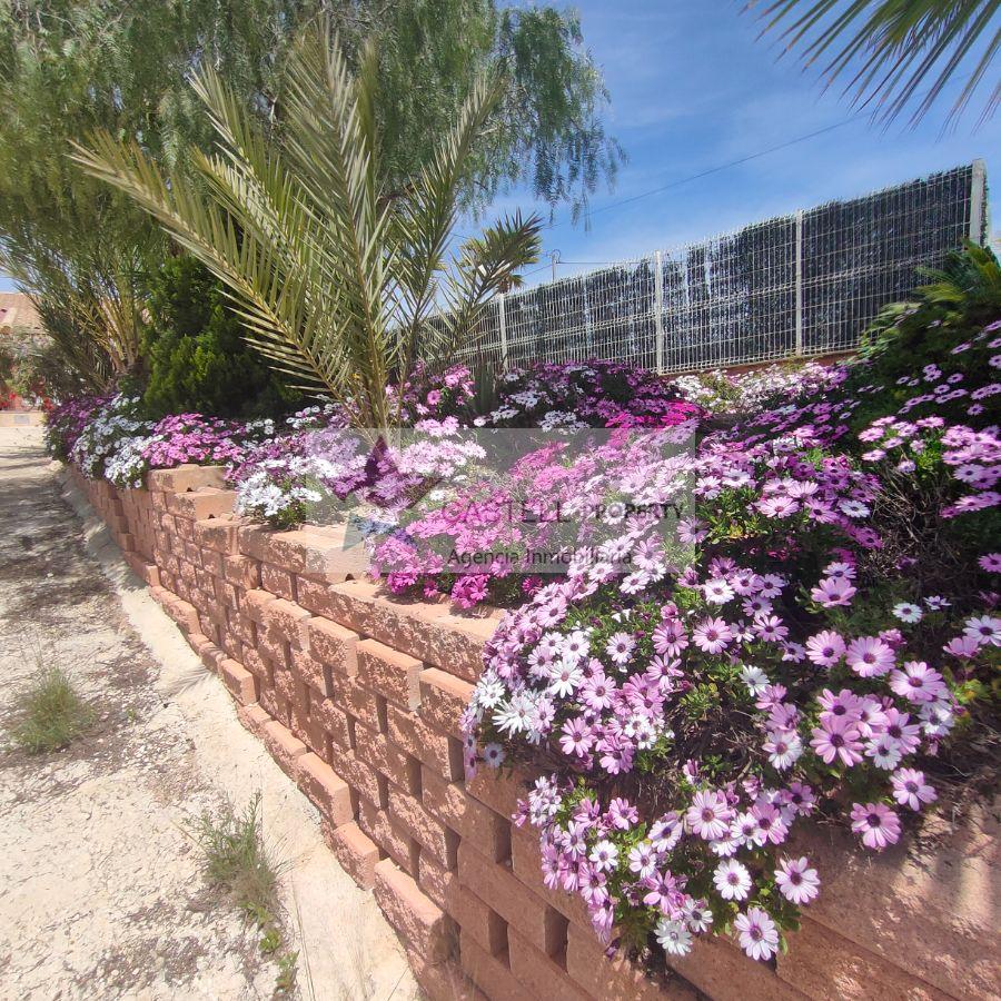 For sale of chalet in Algueña