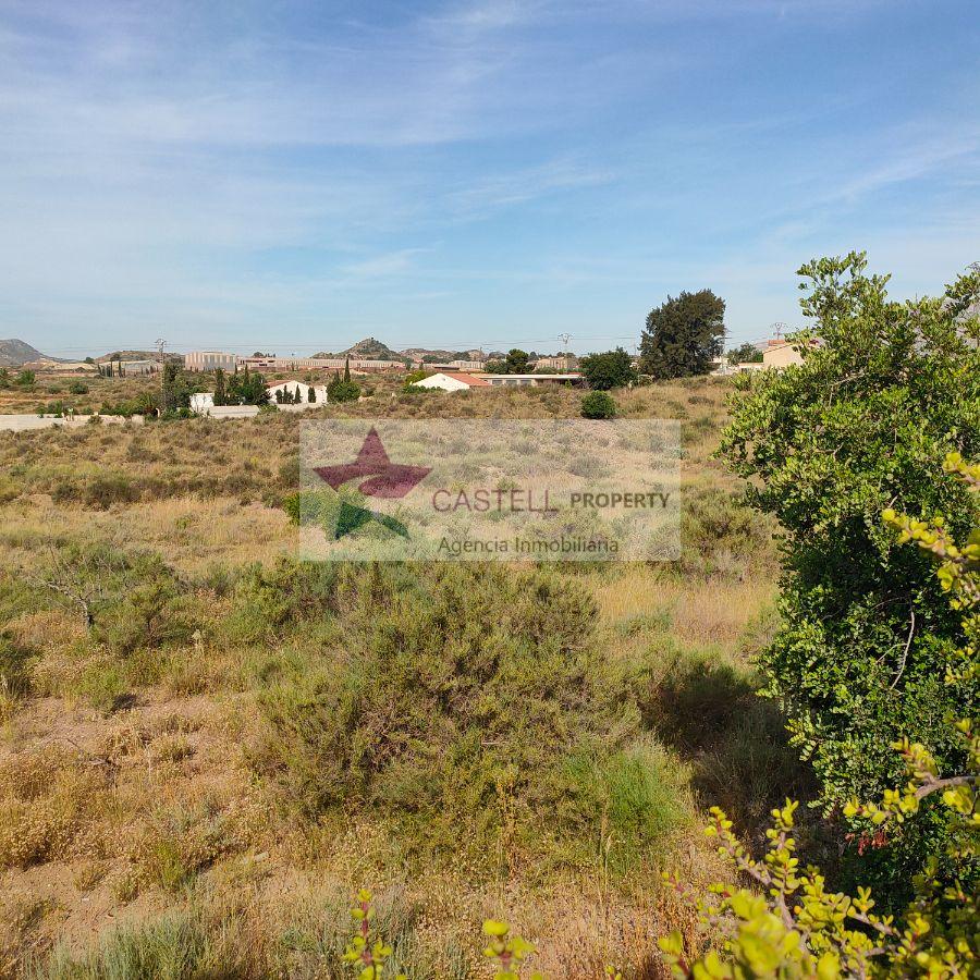 For sale of rural property in Alicante