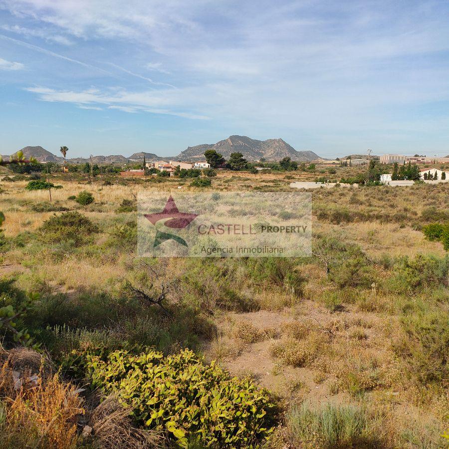 For sale of rural property in Alicante