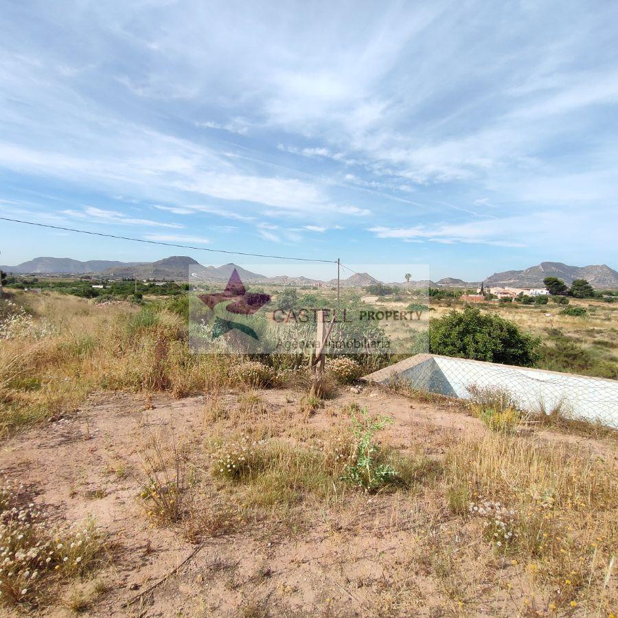 Venta de finca rústica en Alicante