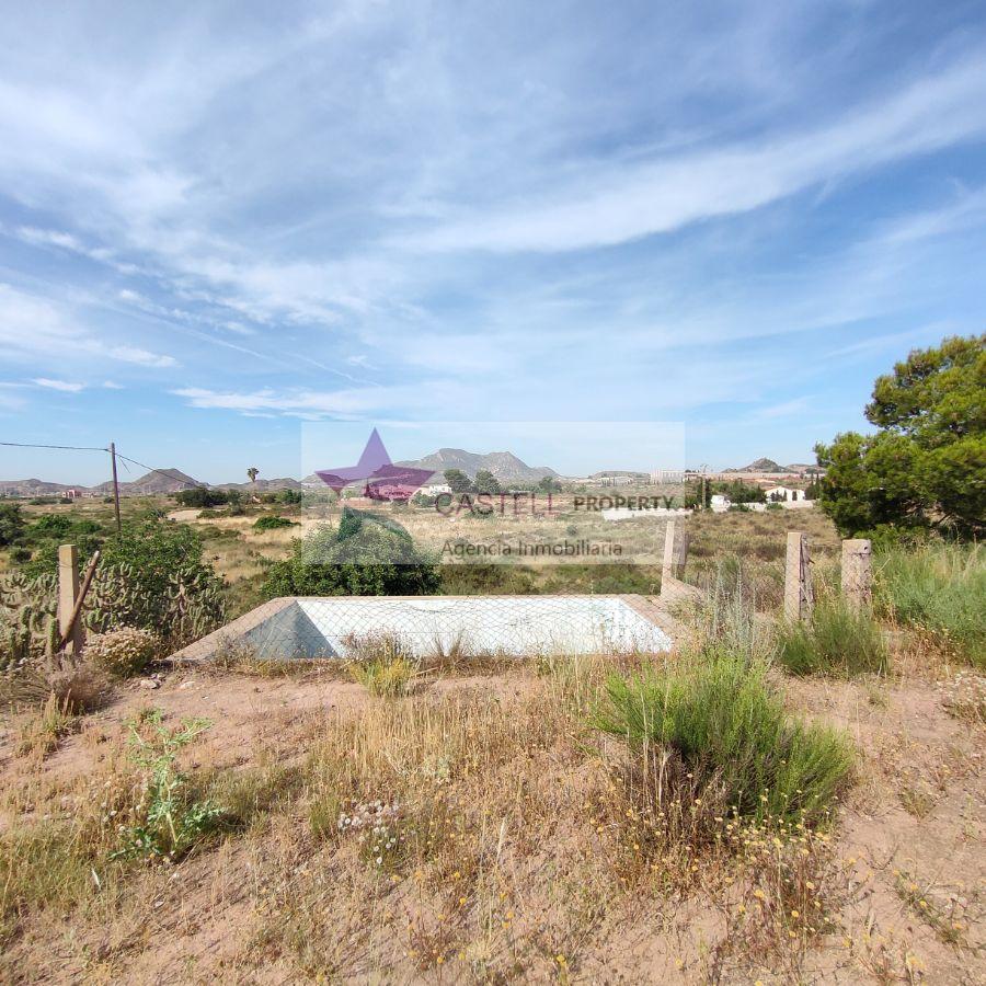 For sale of rural property in Alicante