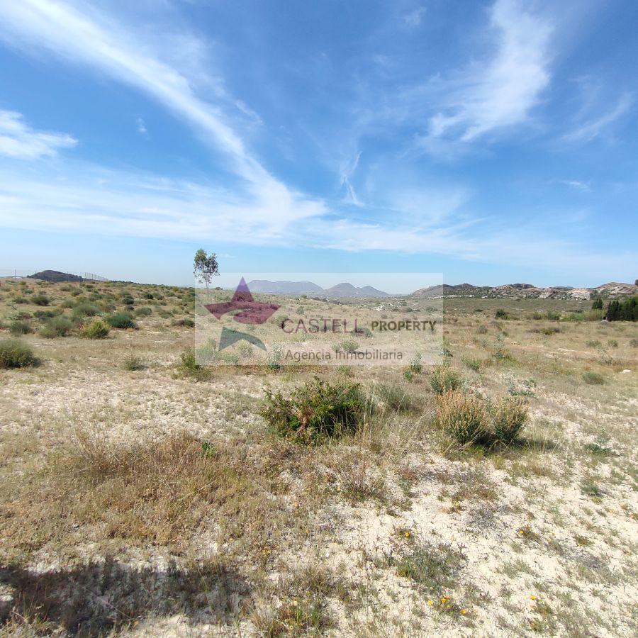 For sale of land in Alicante