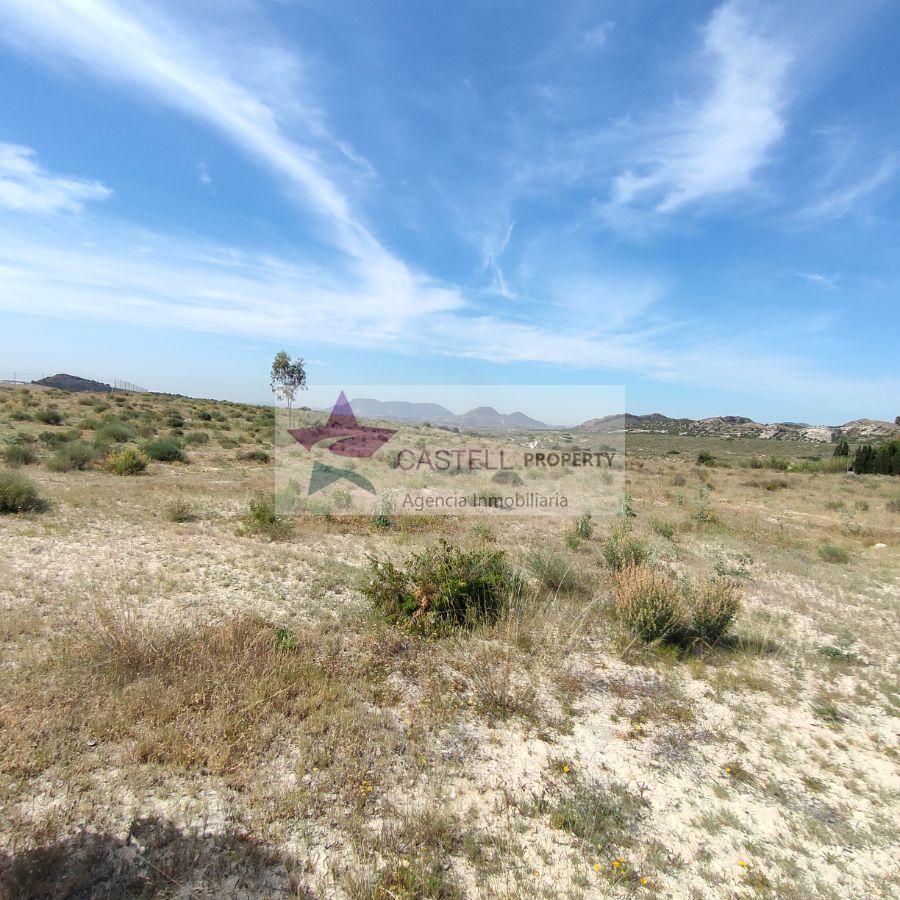 For sale of land in Alicante