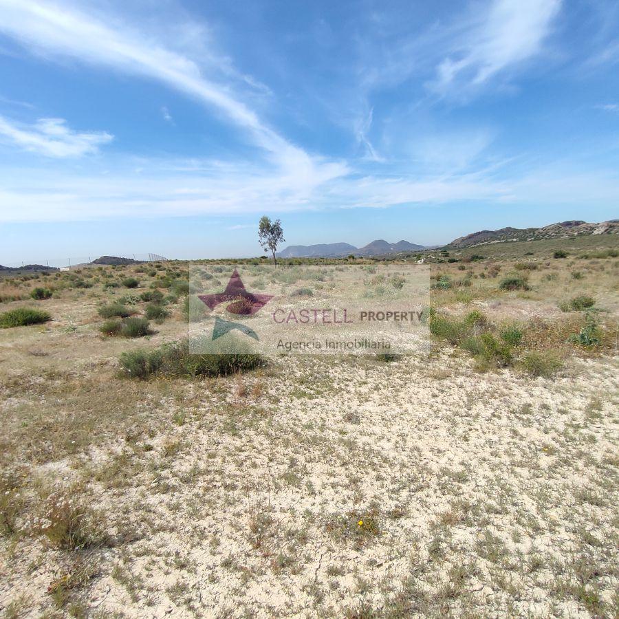 For sale of land in Alicante