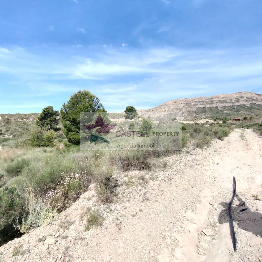 For sale of land in Agost