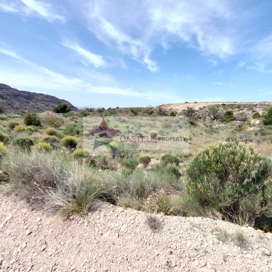 For sale of land in Agost