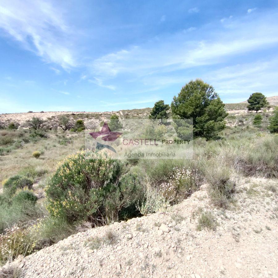 For sale of land in Agost