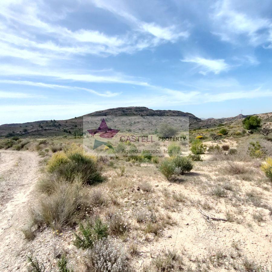 For sale of land in Agost