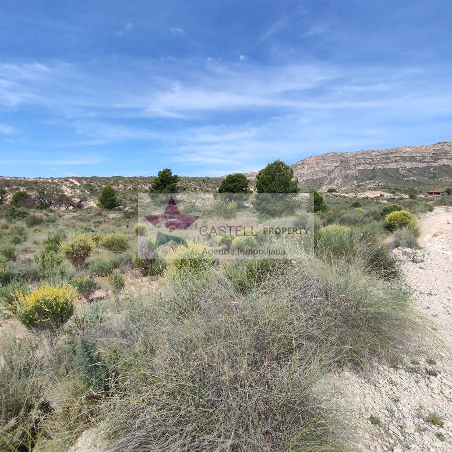 For sale of land in Agost