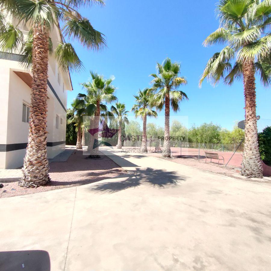 For sale of chalet in Novelda