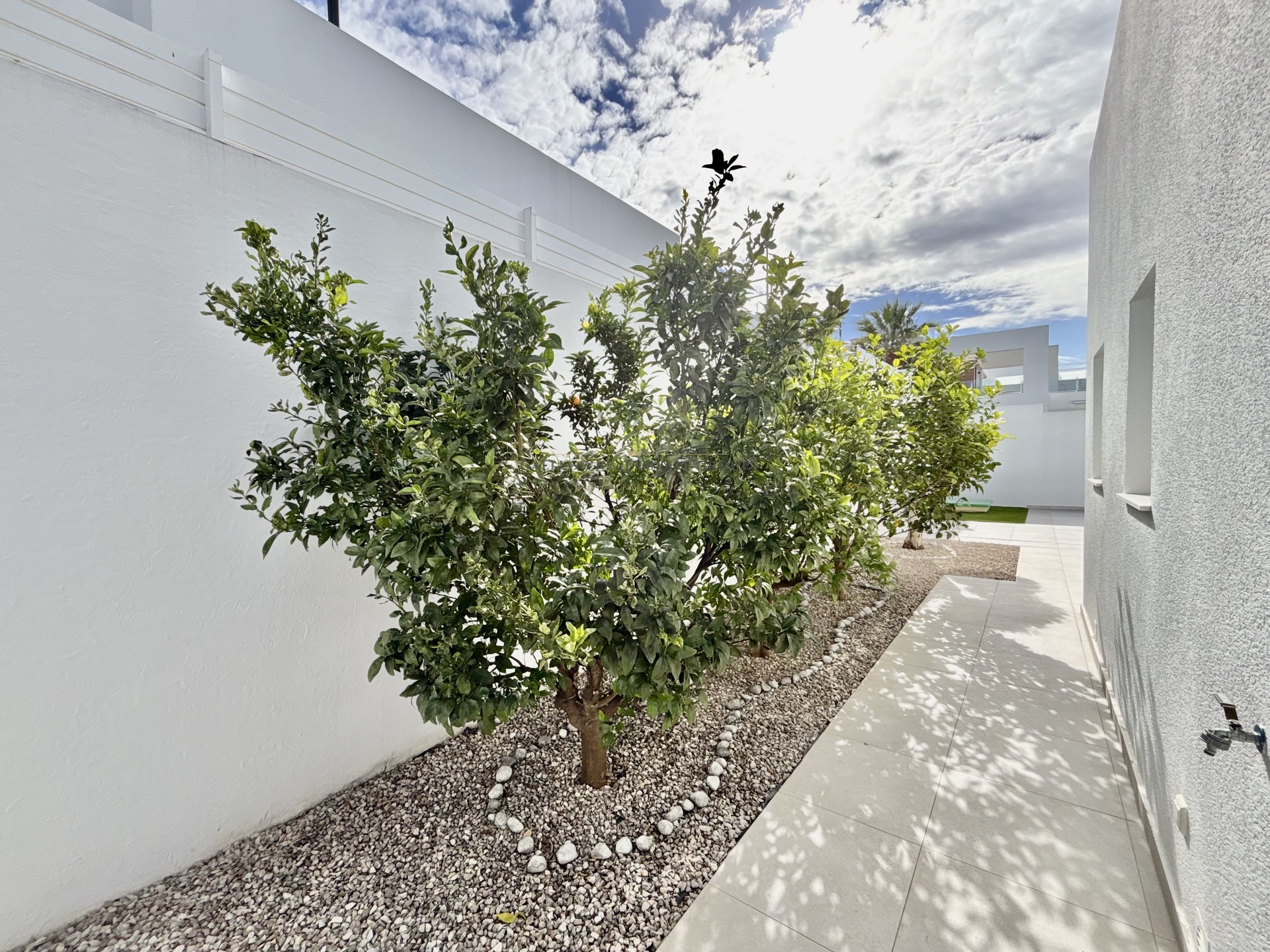 Venta de obra nueva en Benijófar