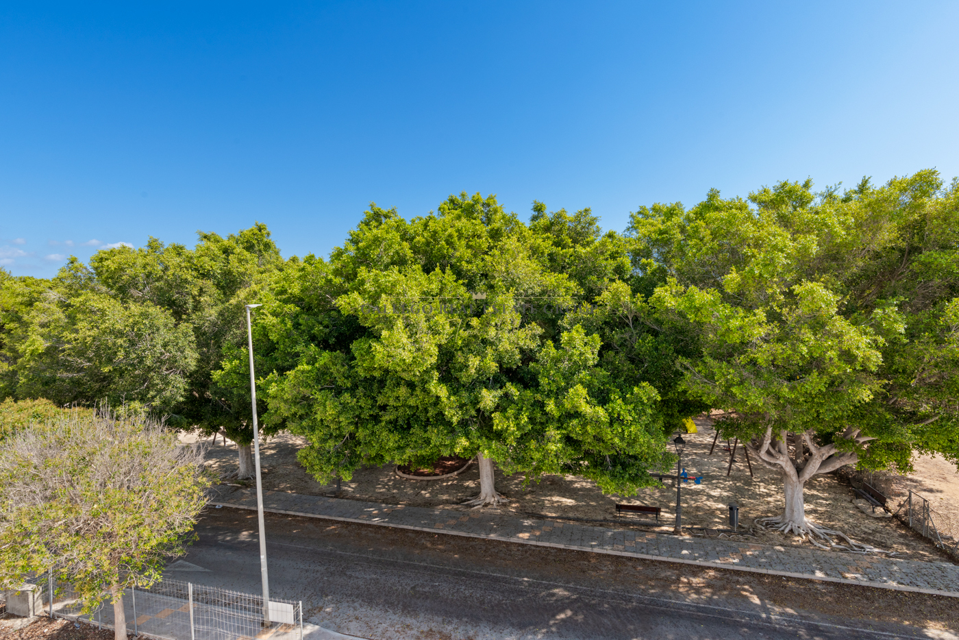 Venta de obra nueva en Pilar de la Horadada