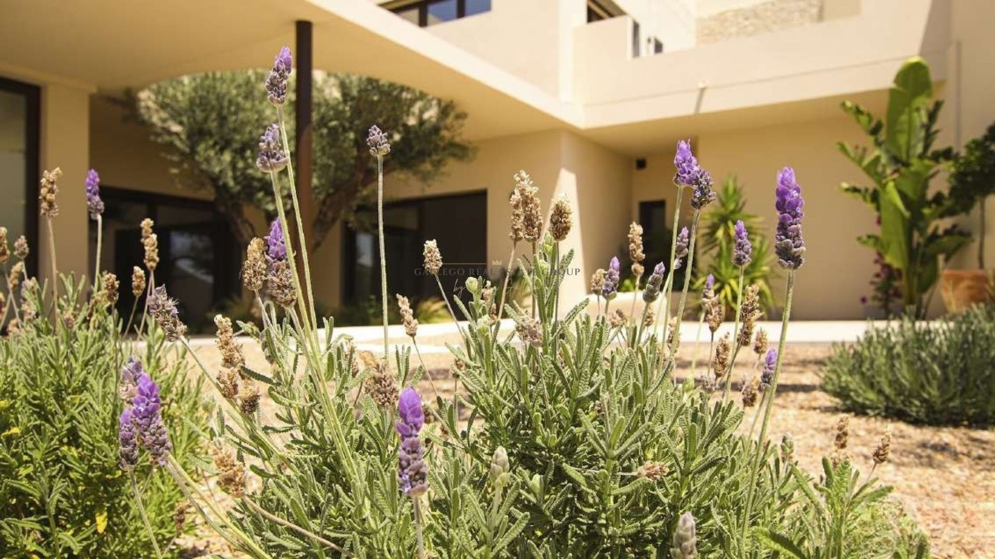 Venta de villa en La Marina