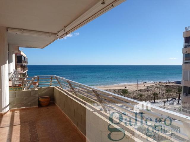 For rent of apartment in Elche-Elx