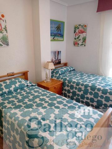 For rent of apartment in Elche-Elx