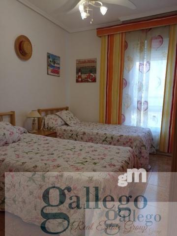 For rent of apartment in Elche-Elx