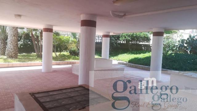 For rent of apartment in Elche-Elx