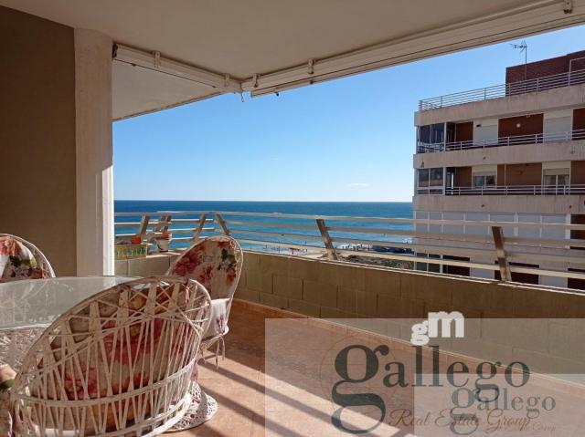 For rent of apartment in Elche-Elx