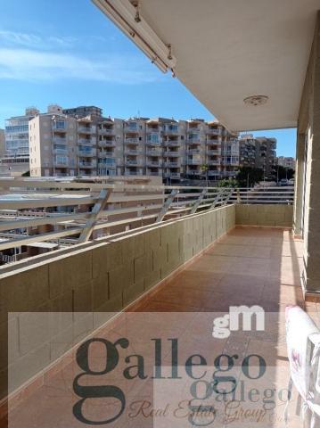 For rent of apartment in Elche-Elx