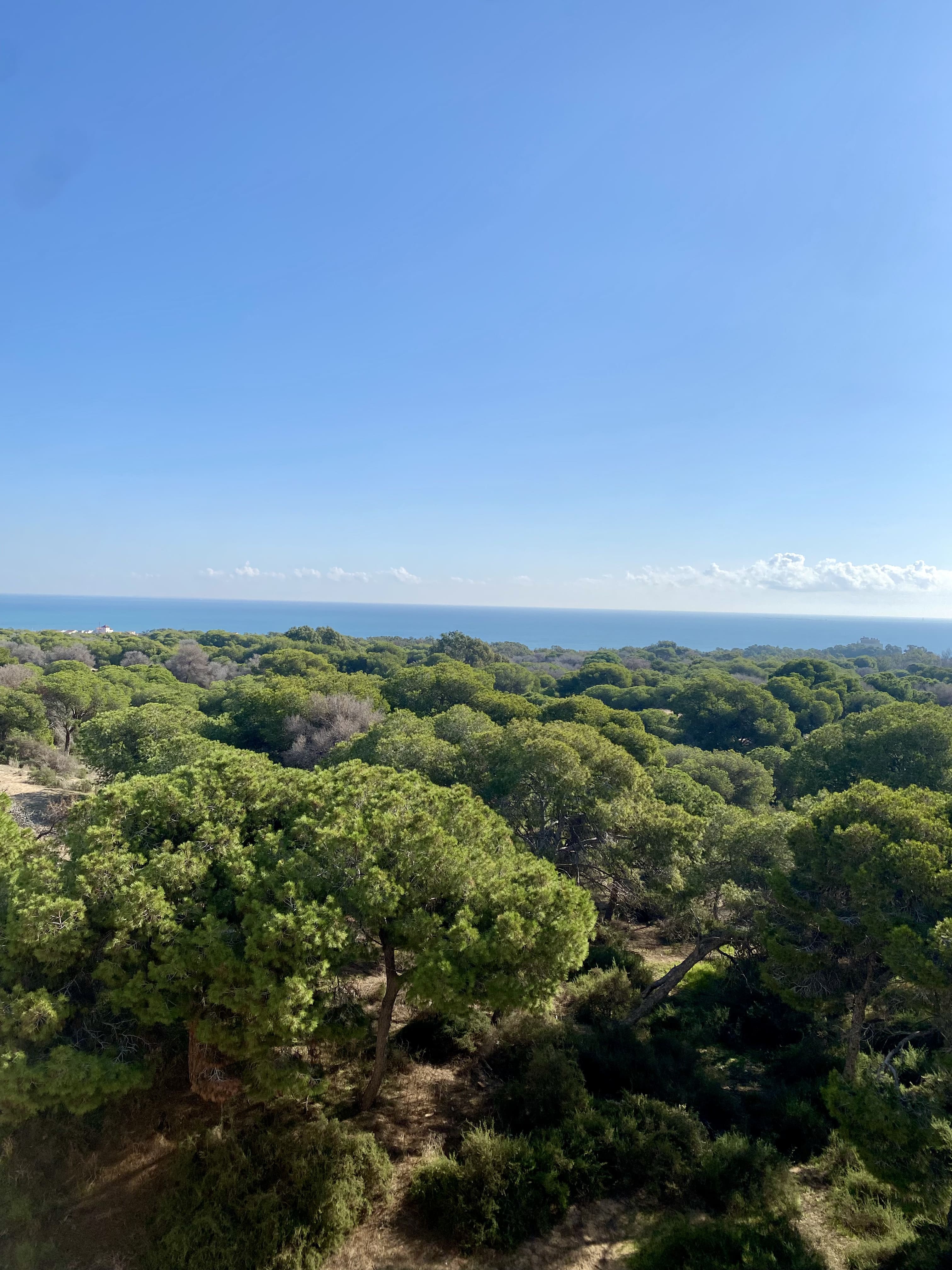 Venta de  en Guardamar del Segura