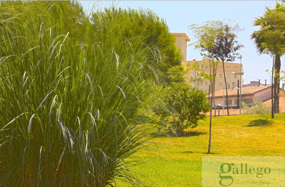 For rent of flat in Cartagena