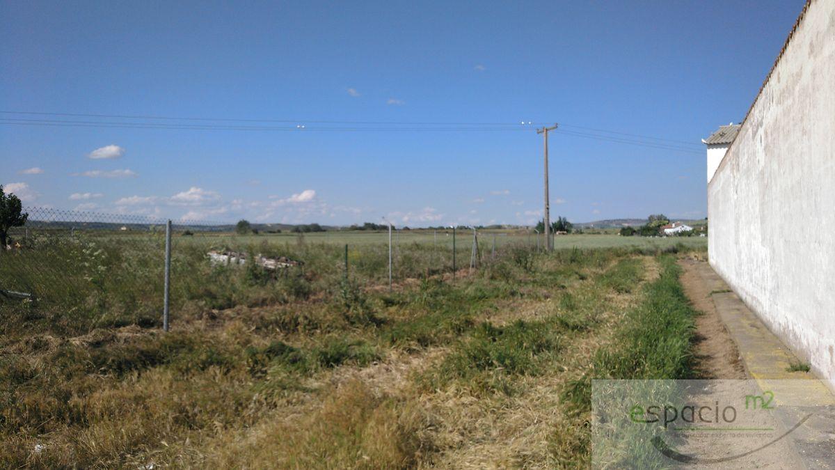 For sale of land in Burgos