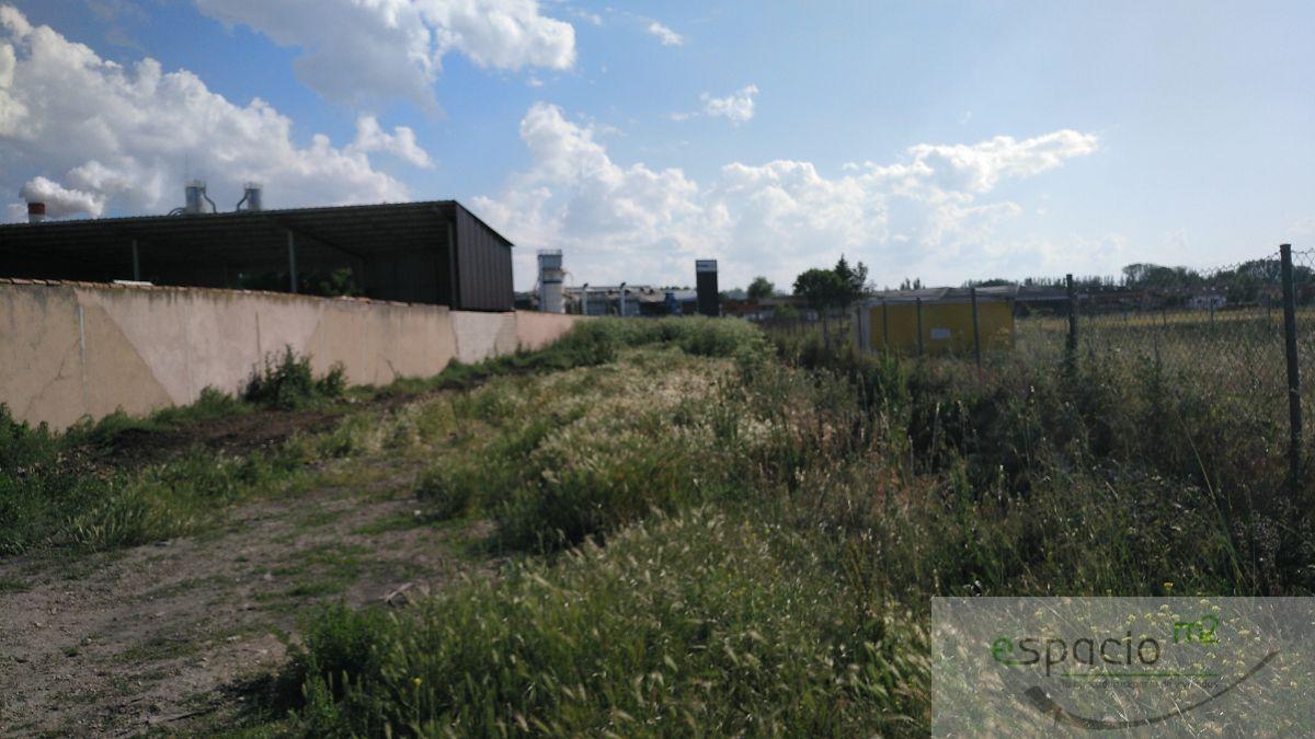 For sale of land in Burgos