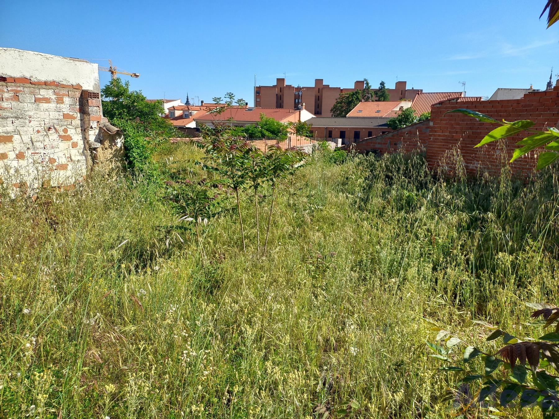 For sale of land in Navalcarnero