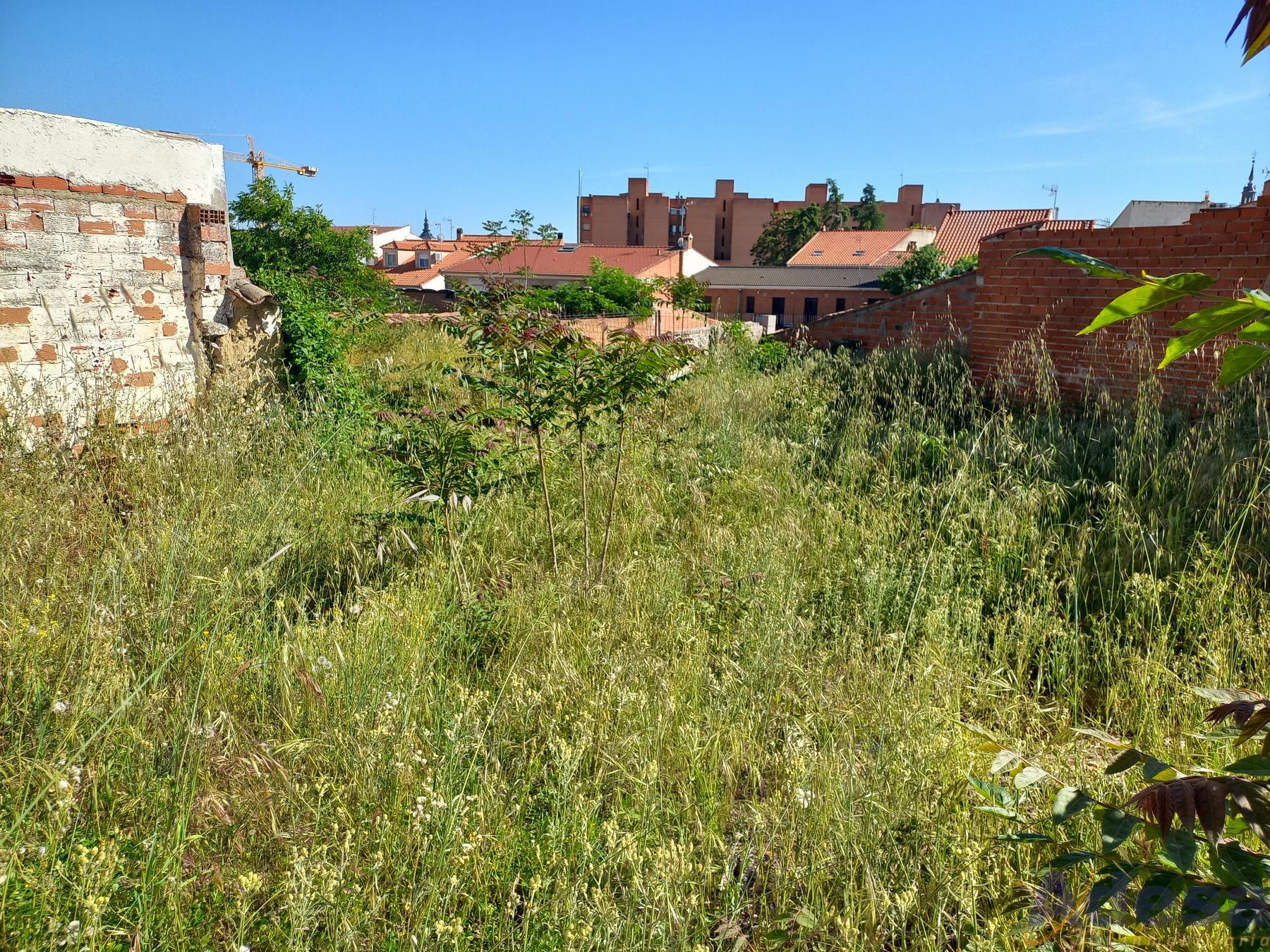 For sale of land in Navalcarnero